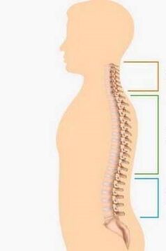 ضایعه پوکی استخوان قسمتهای مختلف ستون فقرات
